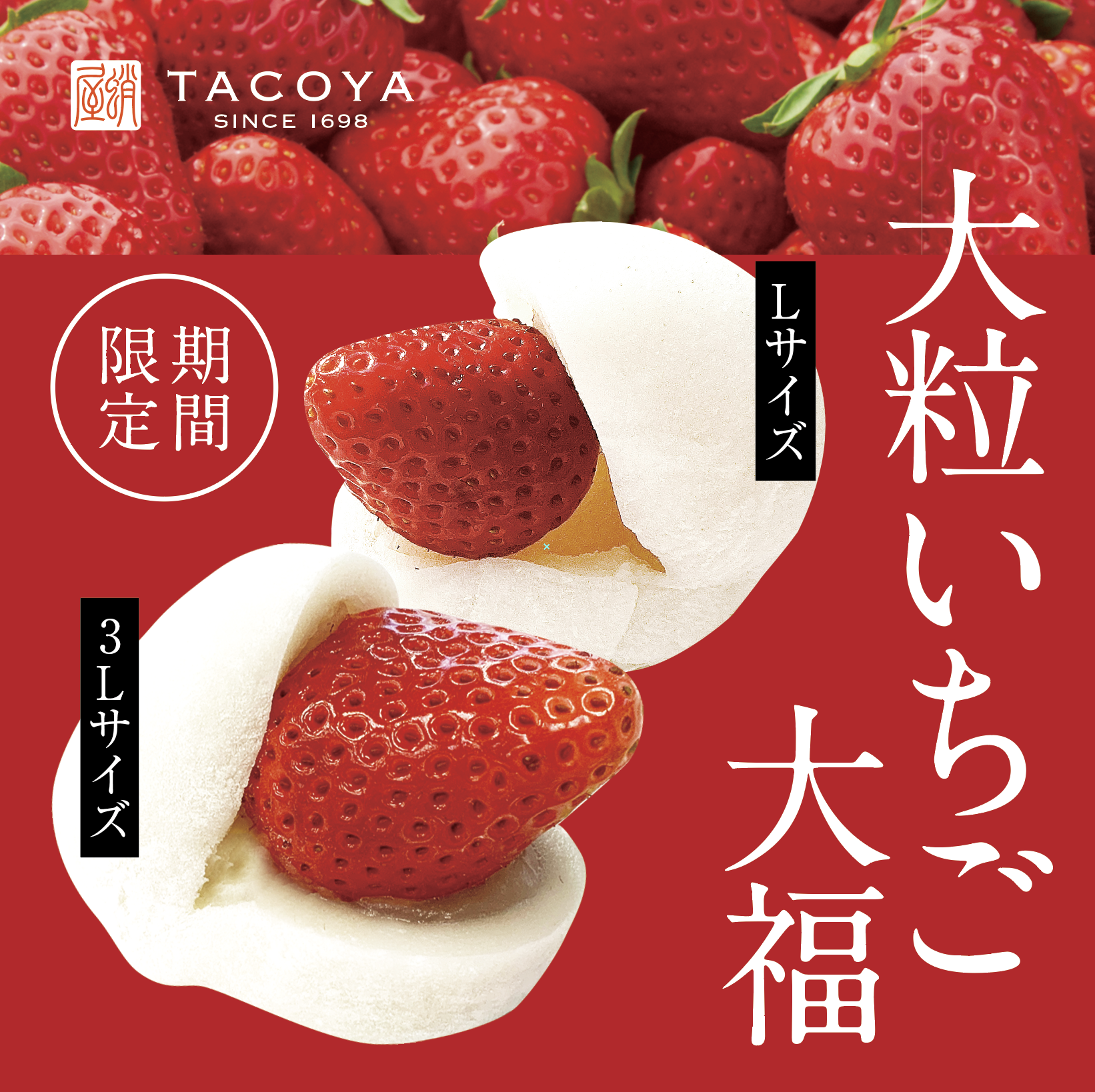 期間限定】自社農園の大粒いちごを贅沢に包んだ「いちご大福」 | 御